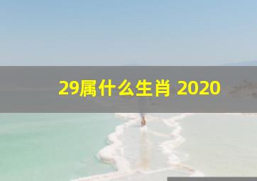 29属什么生肖 2020